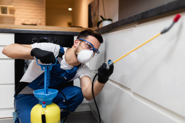  Van Wert, OH Pest Control Pros
