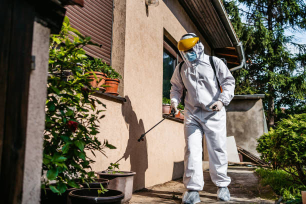 Best Rat Extermination Near Me  in Van Wert, OH