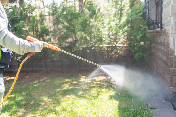 Best Wasp Removal Services  in Van Wert, OH