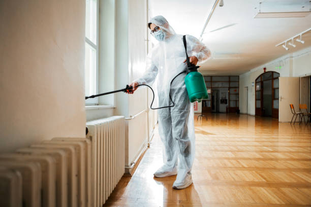 Wasp Removal Services in Van Wert, OH