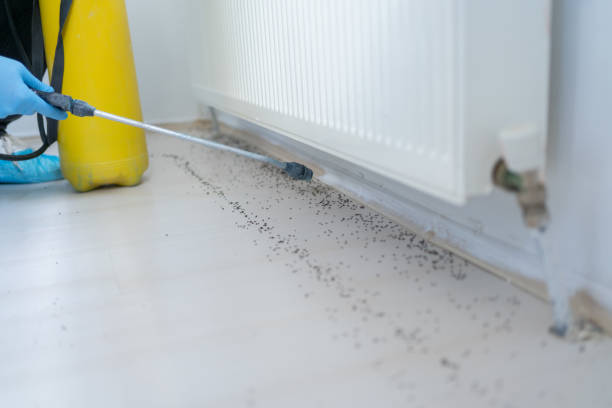 Best Pest Control for Restaurants  in Van Wert, OH