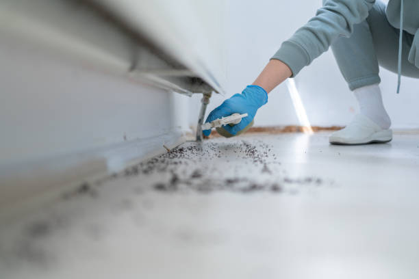 Best Best Pest Control Companies  in Van Wert, OH