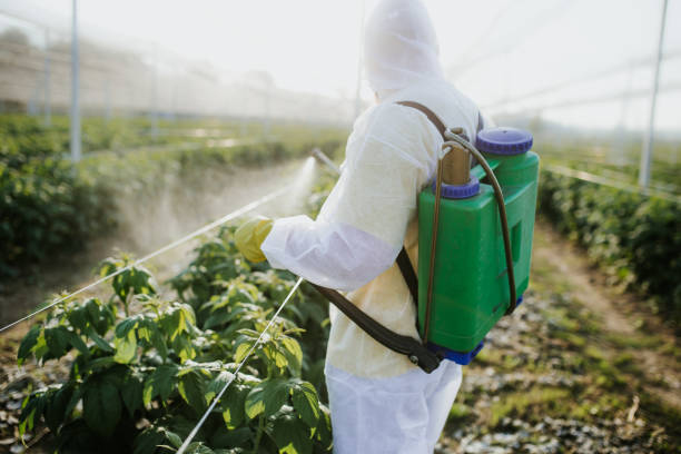 Best Pest Control Near Me  in Van Wert, OH